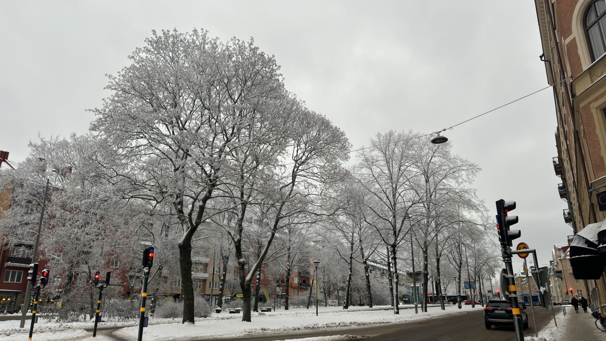 \"snow